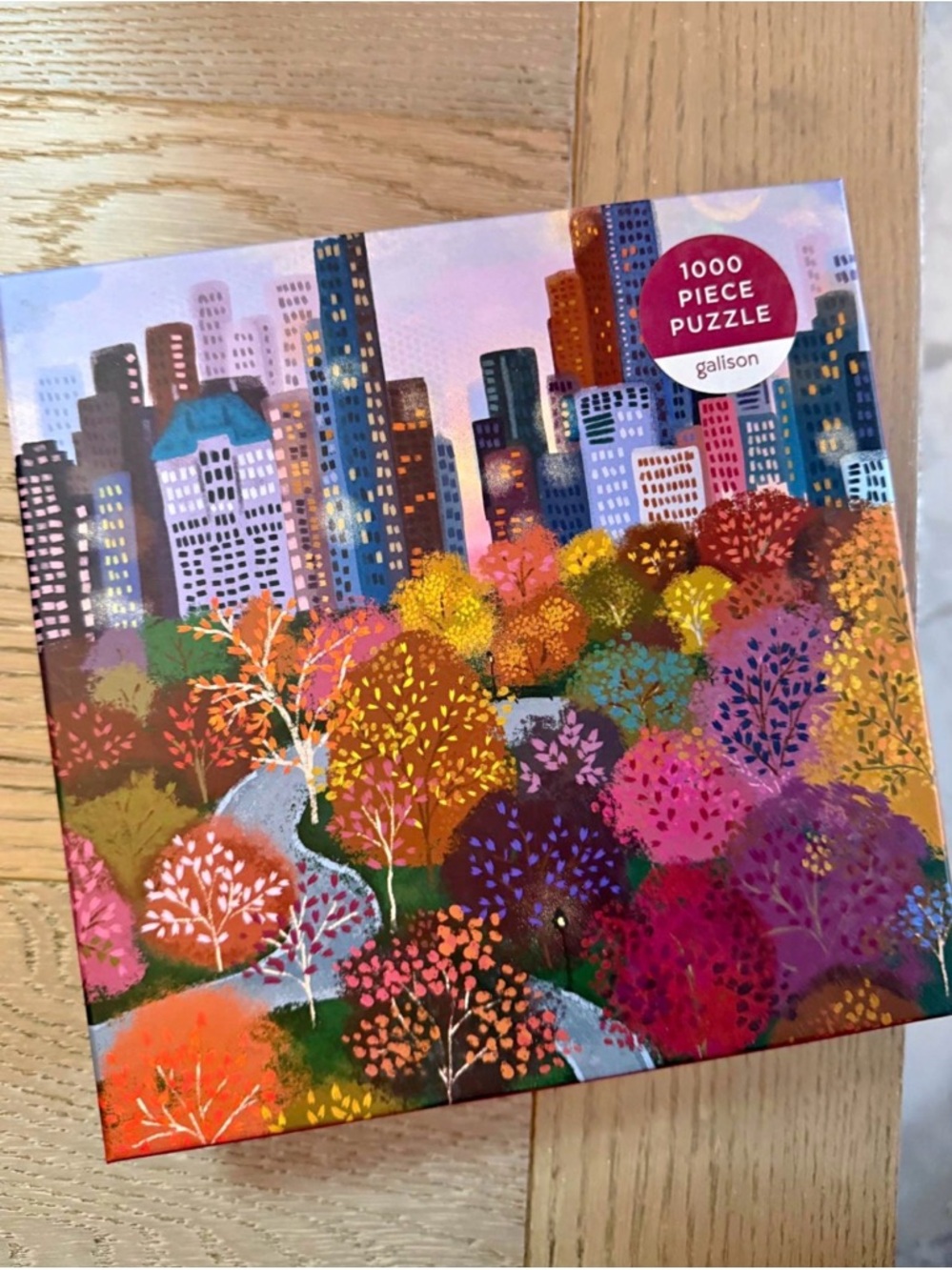 Galison 1000 piece puzzle - Parkside View